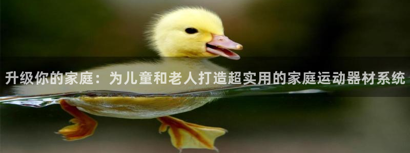 凯捷体育娱乐网站:升级你的家庭:为儿童和老人打造超实用的家庭