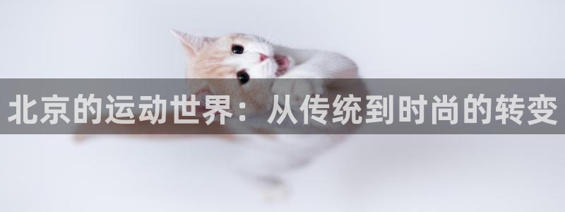 凯捷体育集团E.ON:北京的运动世界:从传统到时尚的转变