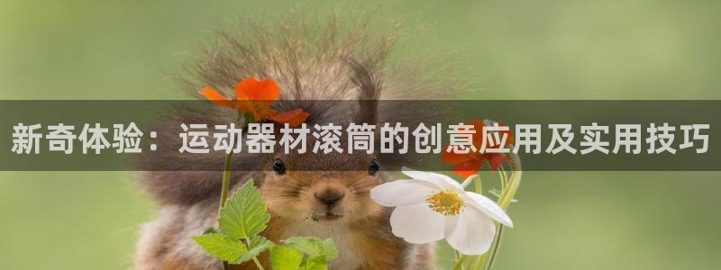 凯捷体育集团:新奇体验:运动器材滚筒的创意应用及实用技巧