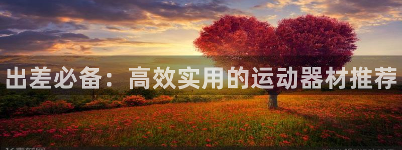 凯捷体育是干嘛的公司:出差必备:高效实用的运动器材推荐