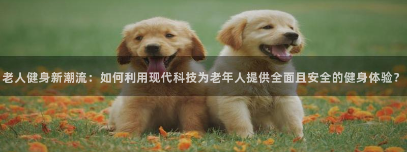 凯捷体育五金厂:老人健身新潮流:如何利用现代科技为老年人提供